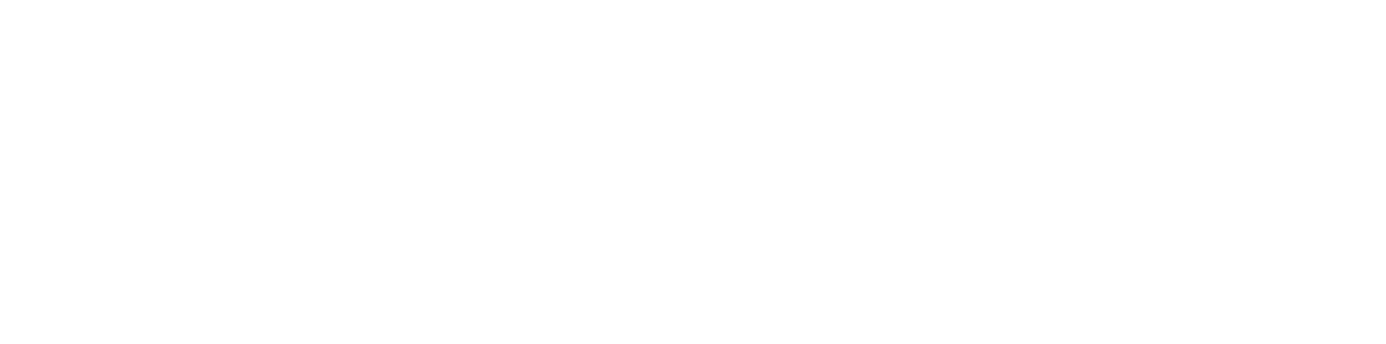 Pulsus IA